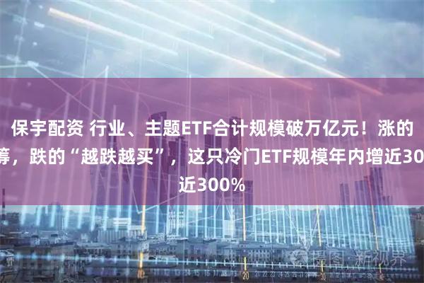 保宇配资 行业、主题ETF合计规模破万亿元！涨的抢筹，跌的“越跌越买”，这只冷门ETF规模年内增近300%