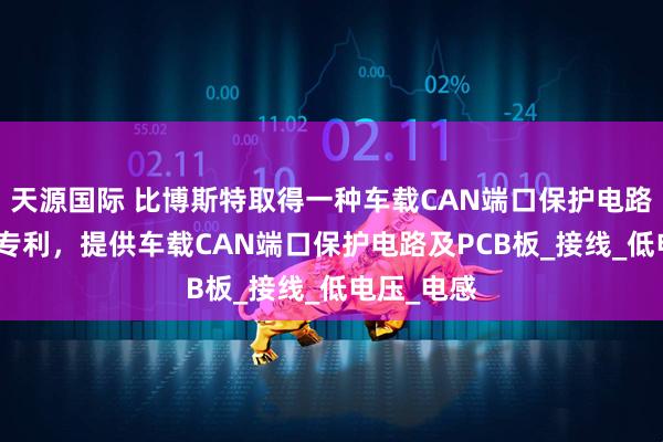 天源国际 比博斯特取得一种车载CAN端口保护电路及PCB板专利,提供车载CAN端口保护电路及PCB板_接线_低电压_电感
