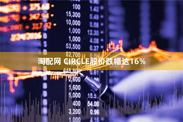 淘配网 CIRCLE股价跌幅达16%
