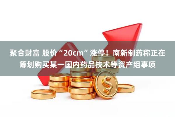 聚合财富 股价“20cm”涨停!南新制药称正在筹划购买某一国内药品技术等资产组事项
