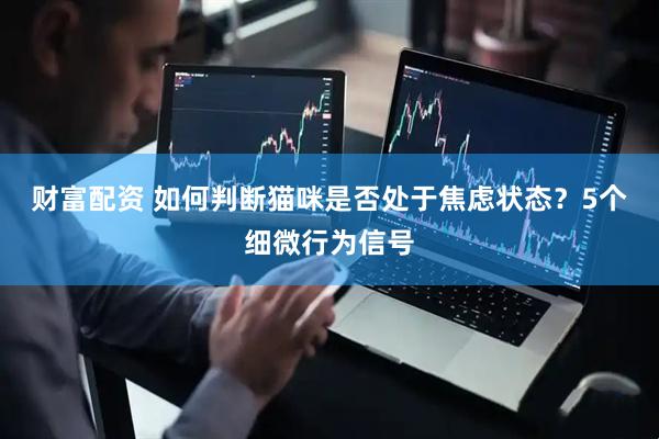 财富配资 如何判断猫咪是否处于焦虑状态？5个细微行为信号