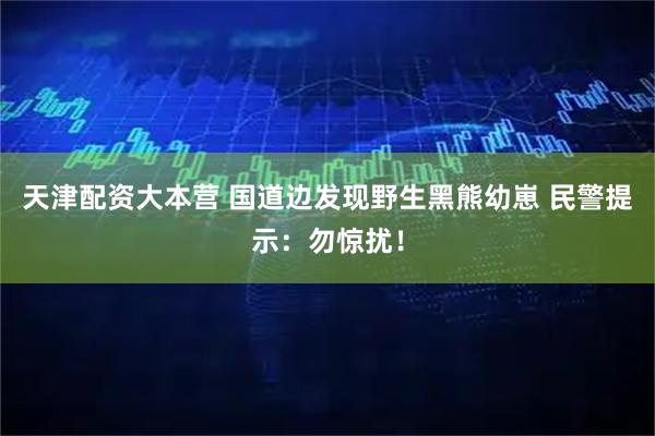 天津配资大本营 国道边发现野生黑熊幼崽 民警提示：勿惊扰！