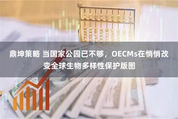 鼎坤策略 当国家公园已不够，OECMs在悄悄改变全球生物多样性保护版图